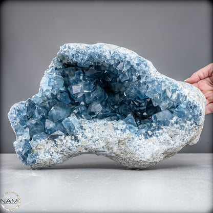 Natürliche Celestit Kristall-Druse - 12967,14 g