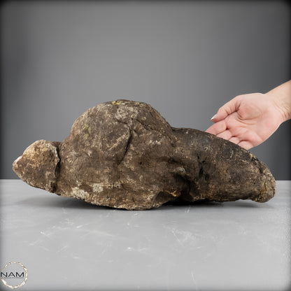 Naturlicher Blau-Roter Bernstein aus Indonesien - 6248,49 g