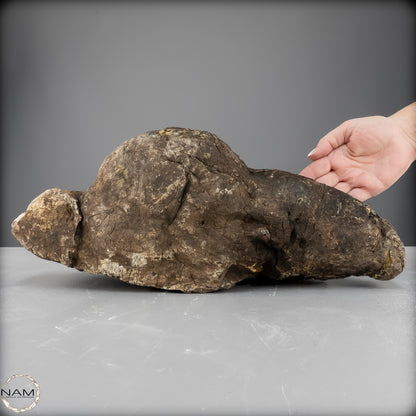 Naturlicher Blau-Roter Bernstein aus Indonesien - 6248,49 g