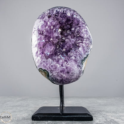 Natürliche Amethyst-Kristalle/Druse auf Ständer - 1304,67g
