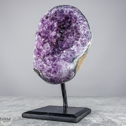 Natürliche Amethyst-Kristalle/Druse auf Ständer - 1304,67g