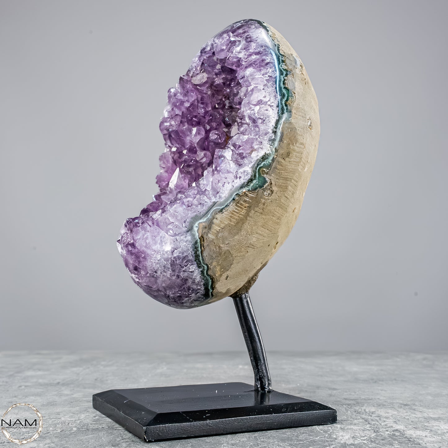 Natürliche Amethyst-Kristalle/Druse auf Ständer - 1304,67g