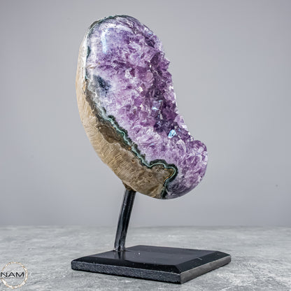 Natürliche Amethyst-Kristalle/Druse auf Ständer - 1304,67g