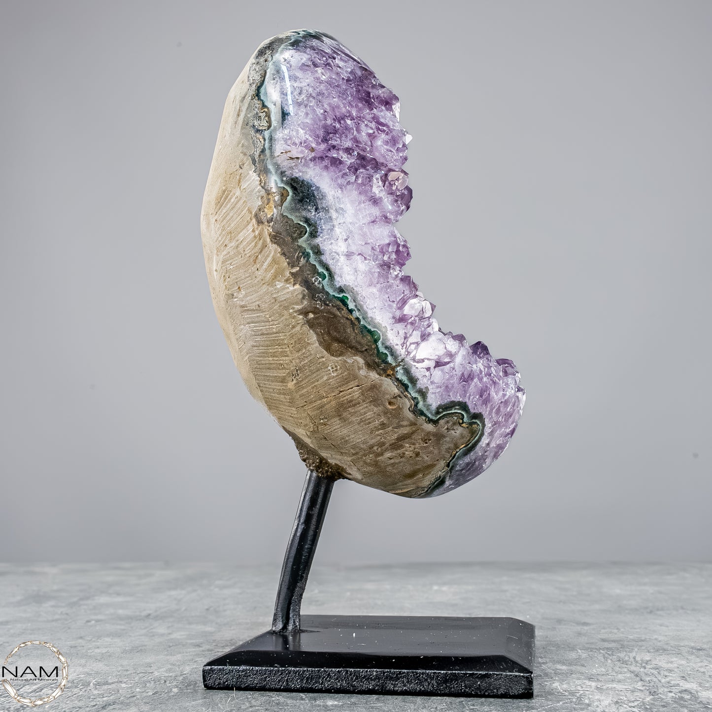 Natürliche Amethyst-Kristalle/Druse auf Ständer - 1304,67g