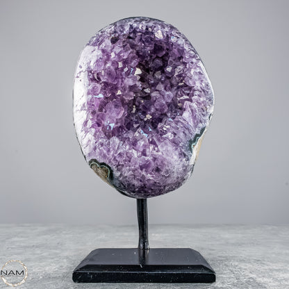 Natürliche Amethyst-Kristalle/Druse auf Ständer - 1304,67g