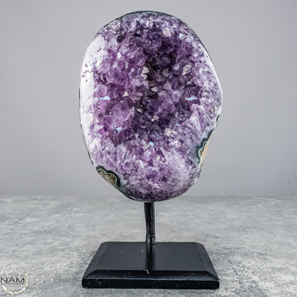 Natürliche Amethyst-Kristalle/Druse auf Ständer - 1304,67g