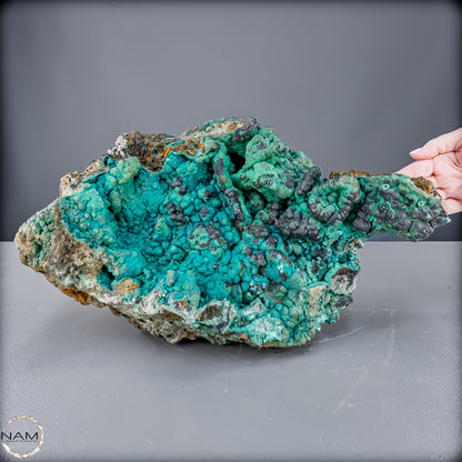 Natürlicher Botryoidaler Chrysokolla und Malachit, sehr selten - 19946,14 g