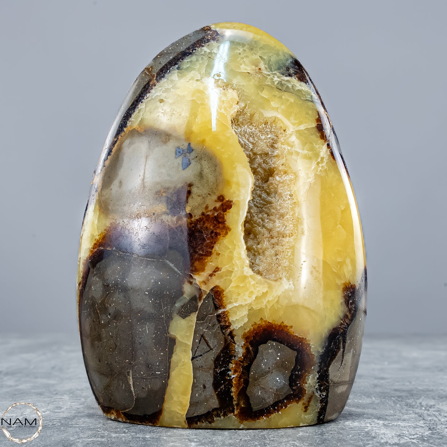 Natürliche Septarien-Kristall Freiform mit Druse - 604,81g