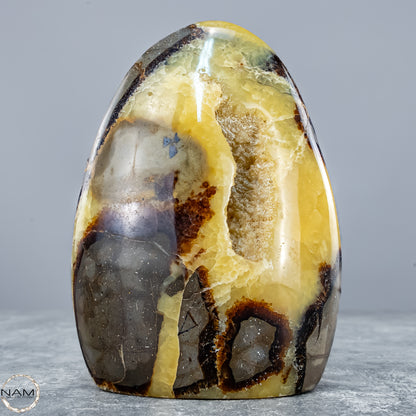 Natürliche Septarien-Kristall Freiform mit Druse - 604,81g