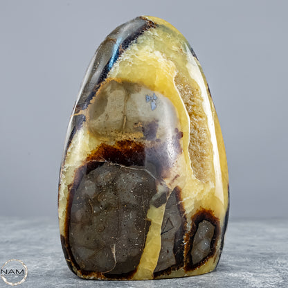 Natürliche Septarien-Kristall Freiform mit Druse - 604,81g