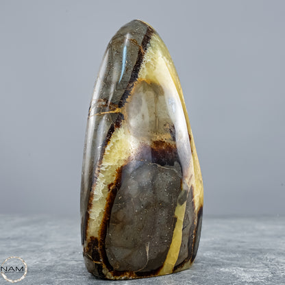 Natürliche Septarien-Kristall Freiform mit Druse - 604,81g