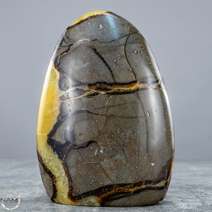 Natürliche Septarien-Kristall Freiform mit Druse - 604,81g