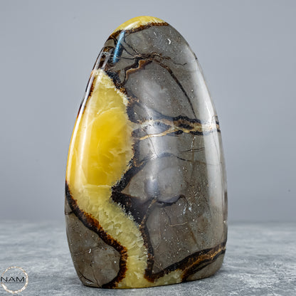 Natürliche Septarien-Kristall Freiform mit Druse - 604,81g