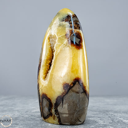 Natürliche Septarien-Kristall Freiform mit Druse - 604,81g