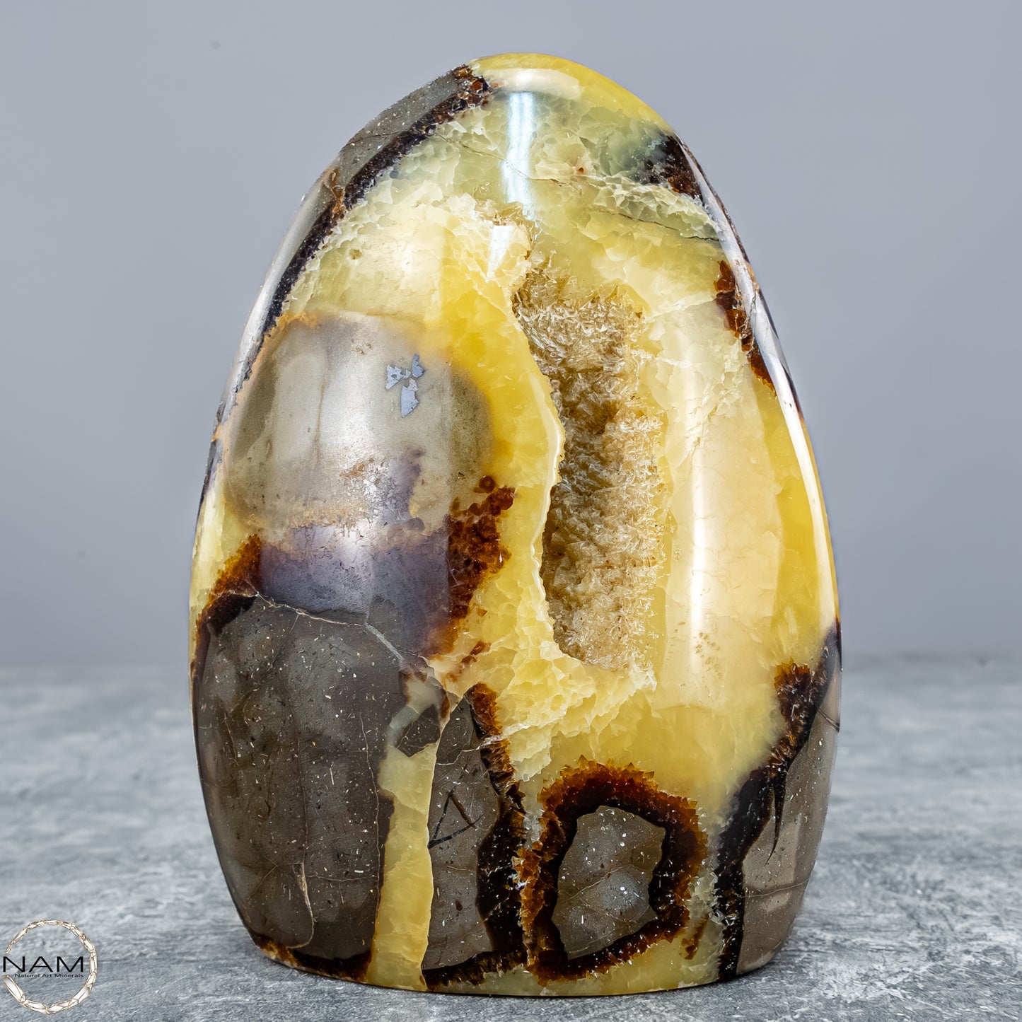 Natürliche Septarien-Kristall Freiform mit Druse - 604,81g