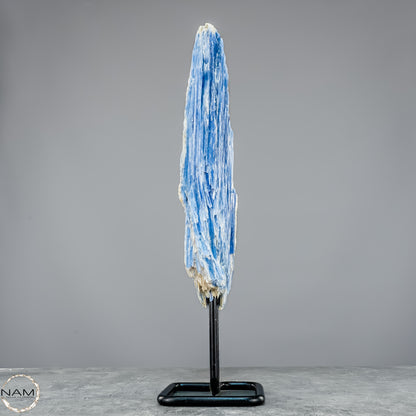 Natürlicher Kyanit-Kristall Cluster auf Ständer aus Brasilien - 877,22g