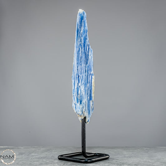 Natürlicher Kyanit-Kristall Cluster auf Ständer aus Brasilien - 877,22g