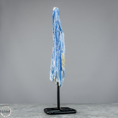 Natürlicher Kyanit-Kristall Cluster auf Ständer aus Brasilien - 877,22g