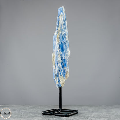 Natürlicher Kyanit-Kristall Cluster auf Ständer aus Brasilien - 877,22g