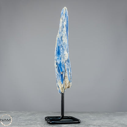 Natürlicher Kyanit-Kristall Cluster auf Ständer aus Brasilien - 877,22g