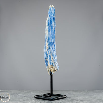 Natürlicher Kyanit-Kristall Cluster auf Ständer aus Brasilien - 877,22g