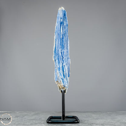 Natürlicher Kyanit-Kristall Cluster auf Ständer aus Brasilien - 877,22g