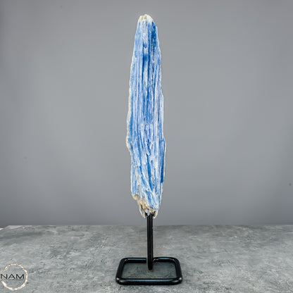 Natürlicher Kyanit-Kristall Cluster auf Ständer aus Brasilien - 877,22g