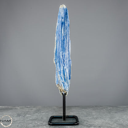 Natürlicher Kyanit-Kristall Cluster auf Ständer aus Brasilien - 877,22g