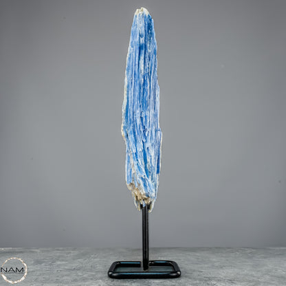 Natürlicher Kyanit-Kristall Cluster auf Ständer aus Brasilien - 877,22g