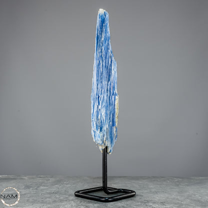 Natürlicher Kyanit-Kristall Cluster auf Ständer aus Brasilien - 877,22g