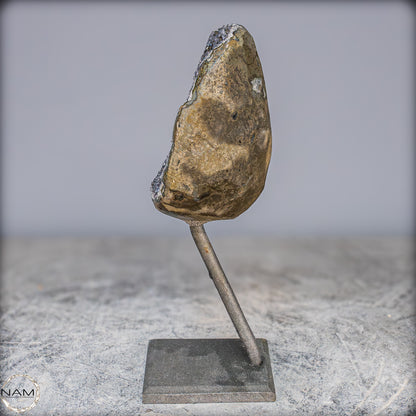 Natürliche Schwarze Amethyst Druse mit Calzit Kristallen auf Ständer - 1084,21g