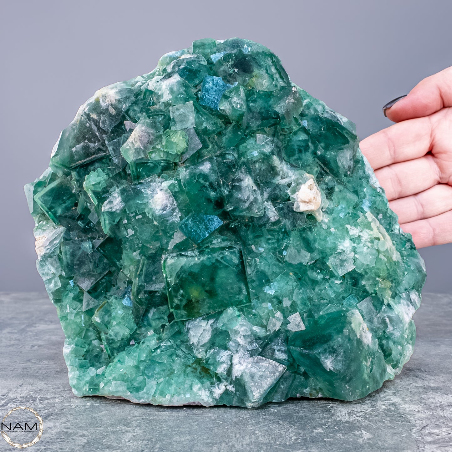 Natürliche Grüner Zuckerwürfel-Fluorit Kristalle auf Matrix - 3578,38g