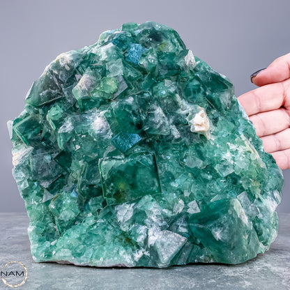 Natürliche Grüner Zuckerwürfel-Fluorit Kristalle auf Matrix - 3578,38g