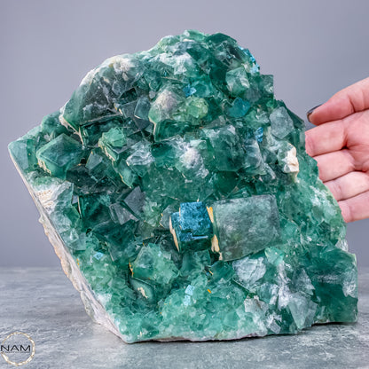 Natürliche Grüner Zuckerwürfel-Fluorit Kristalle auf Matrix - 3578,38g