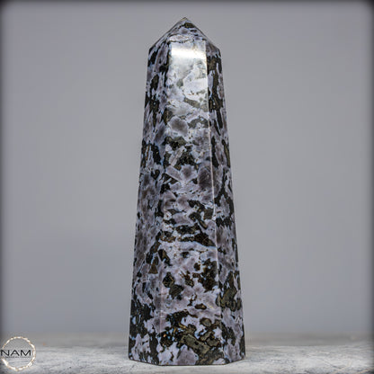 Natürlicher Merlinit (Gabbro) Kristall Obelisk - 1836,07g