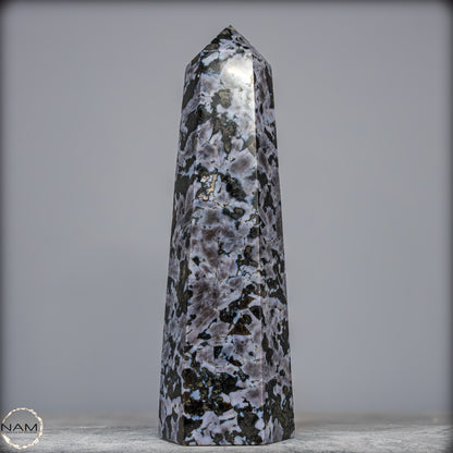 Natürlicher Merlinit (Gabbro) Kristall Obelisk - 1836,07g