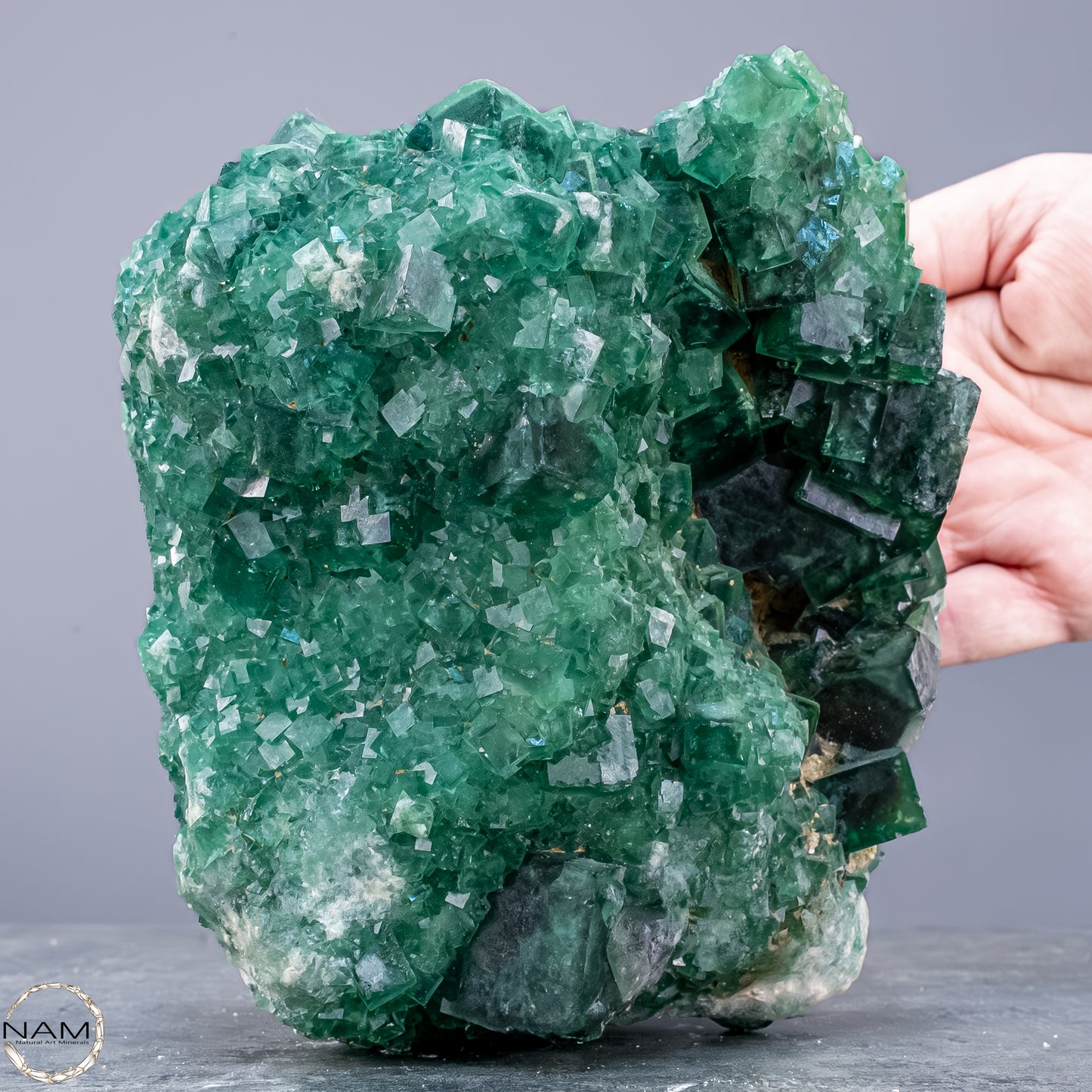 Natürliche Grüner Fluorit Kristalle auf Matrix -  3593,17g