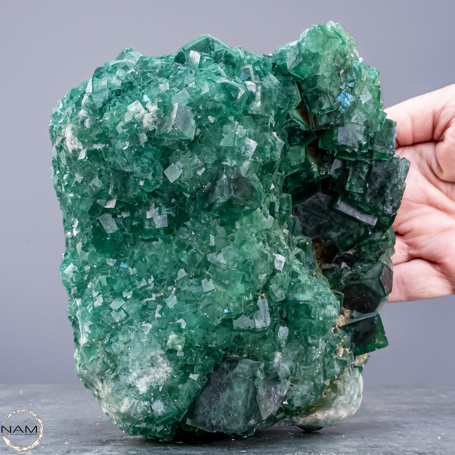 Natürliche Grüner Fluorit Kristalle auf Matrix -  3593,17g