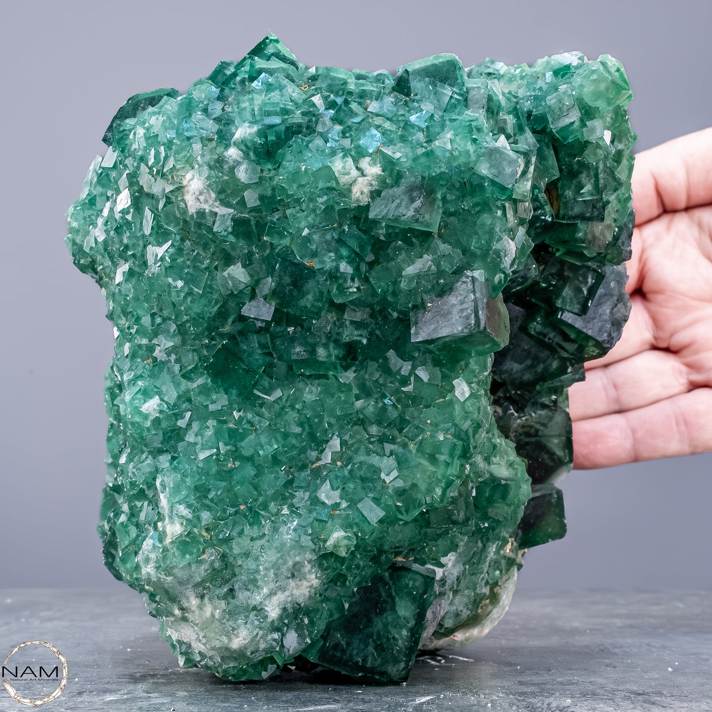 Natürliche Grüner Fluorit Kristalle auf Matrix -  3593,17g