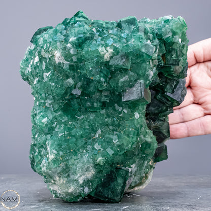 Natürliche Grüner Fluorit Kristalle auf Matrix -  3593,17g