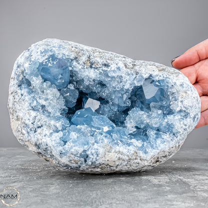 Natürliche Celestit Kristall-Druse - 4172,31g