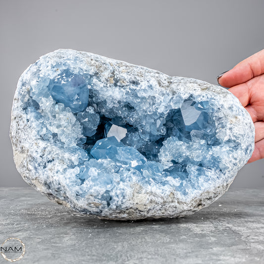 Natürliche Celestit Kristall-Druse - 4172,31g