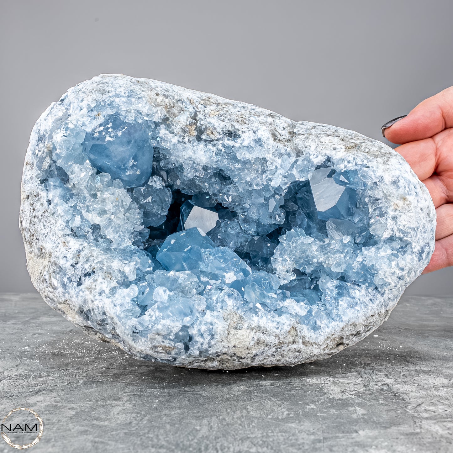 Natürliche Celestit Kristall-Druse - 4172,31g