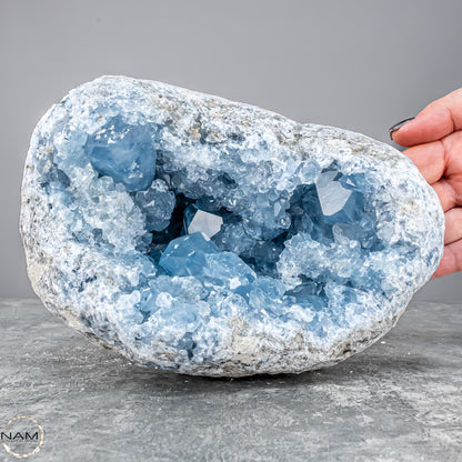 Natürliche Celestit Kristall-Druse - 4172,31g