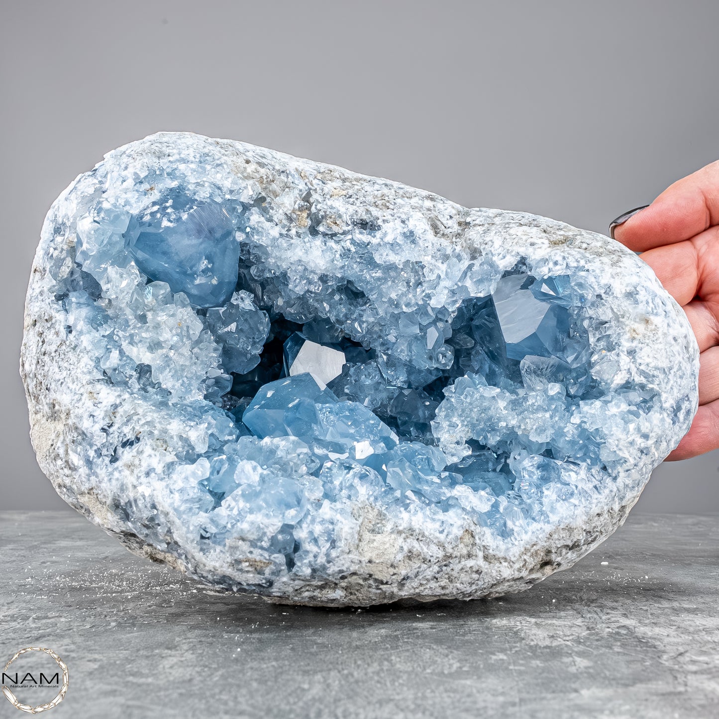 Natürliche Celestit Kristall-Druse - 4172,31g