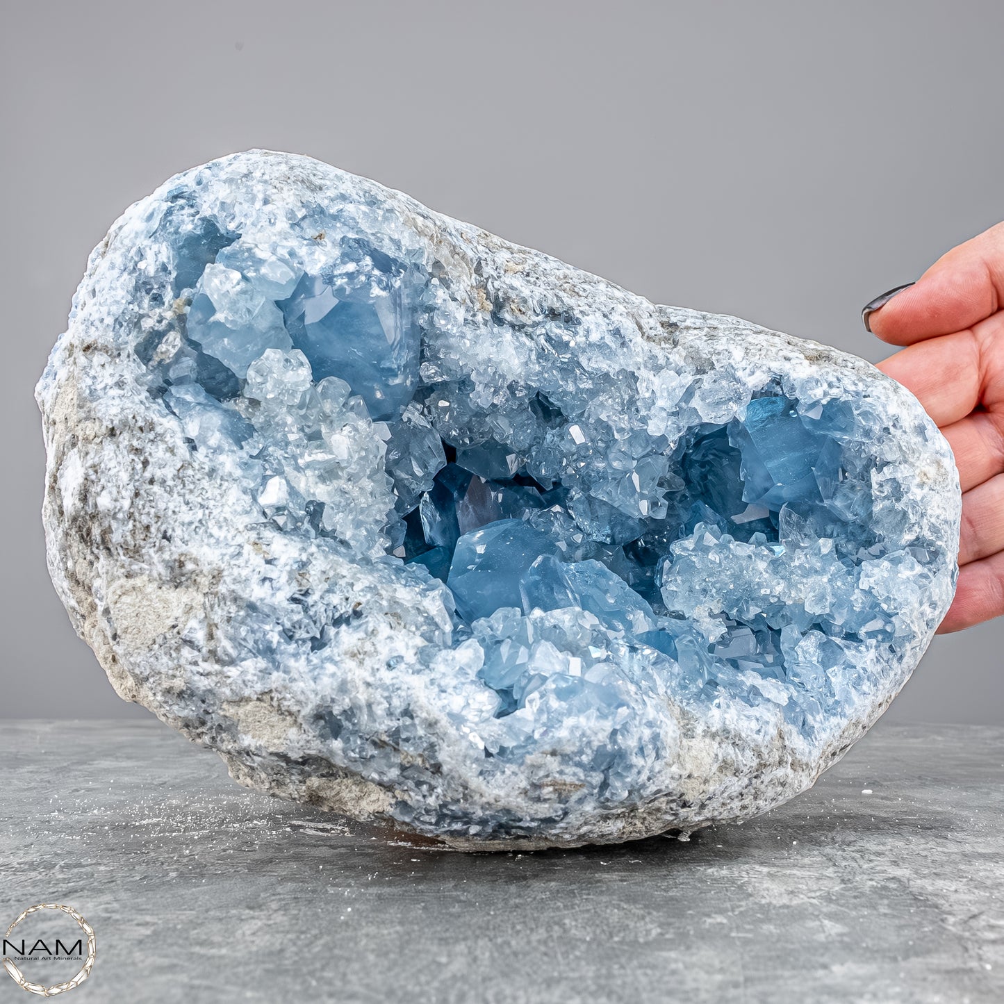 Natürliche Celestit Kristall-Druse - 4172,31g