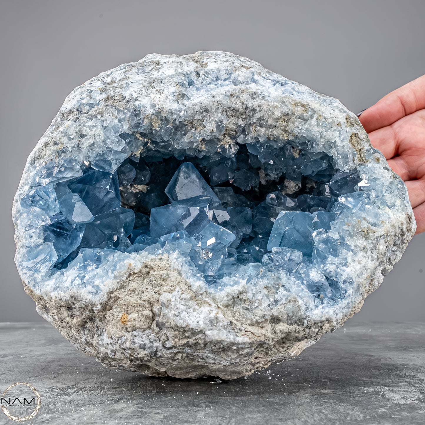 Natürliche Celestit Kristall-Druse - 7149,17g