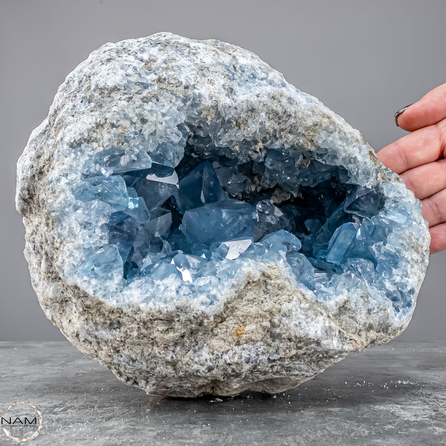 Natürliche Celestit Kristall-Druse - 7149,17g