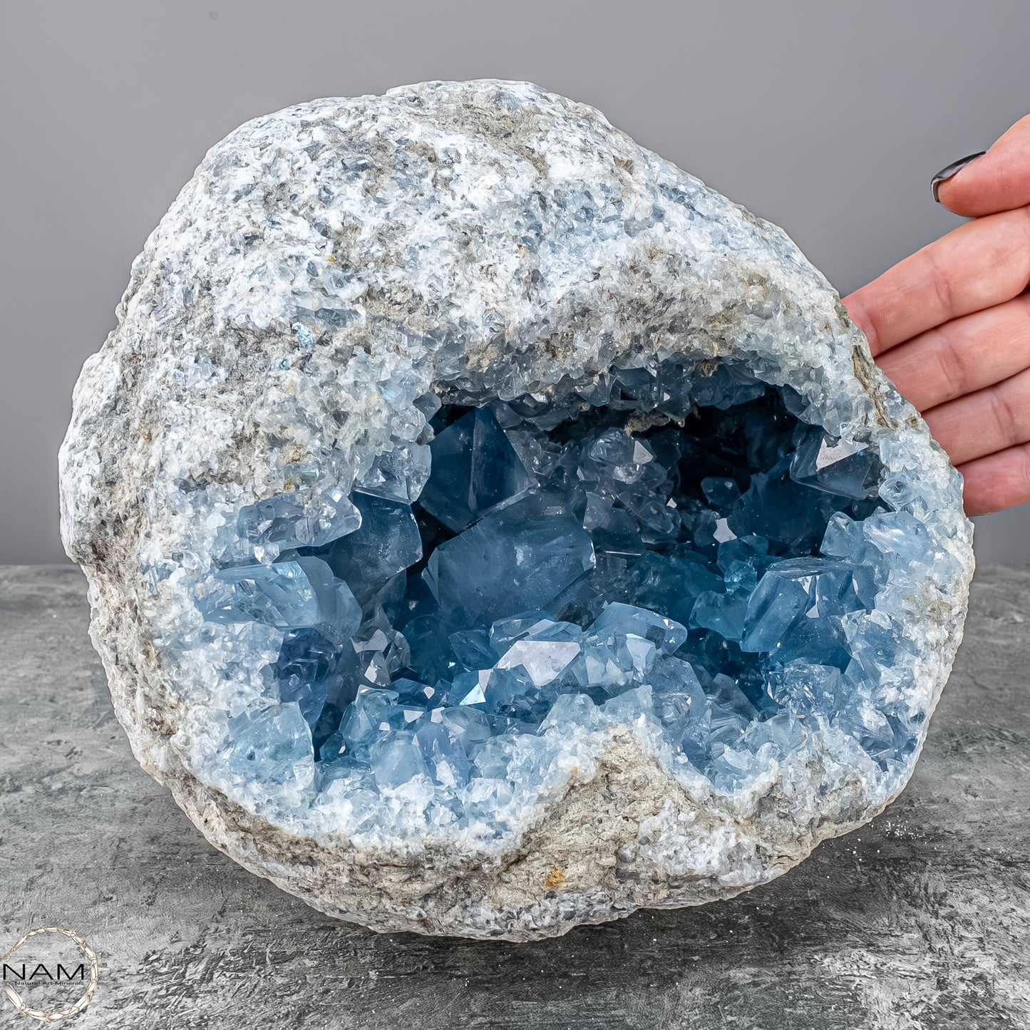 Natürliche Celestit Kristall-Druse - 7149,17g