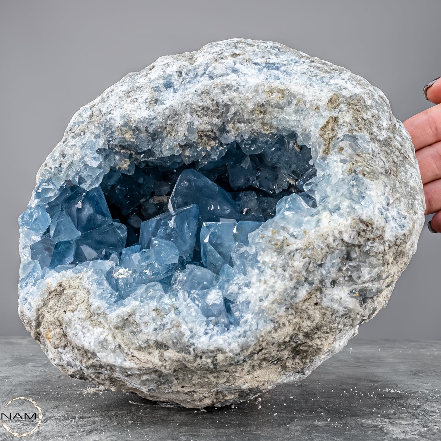 Natürliche Celestit Kristall-Druse - 7149,17g